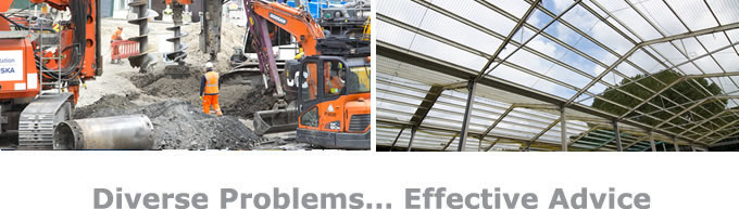 Diverse Problems, Effective Advice